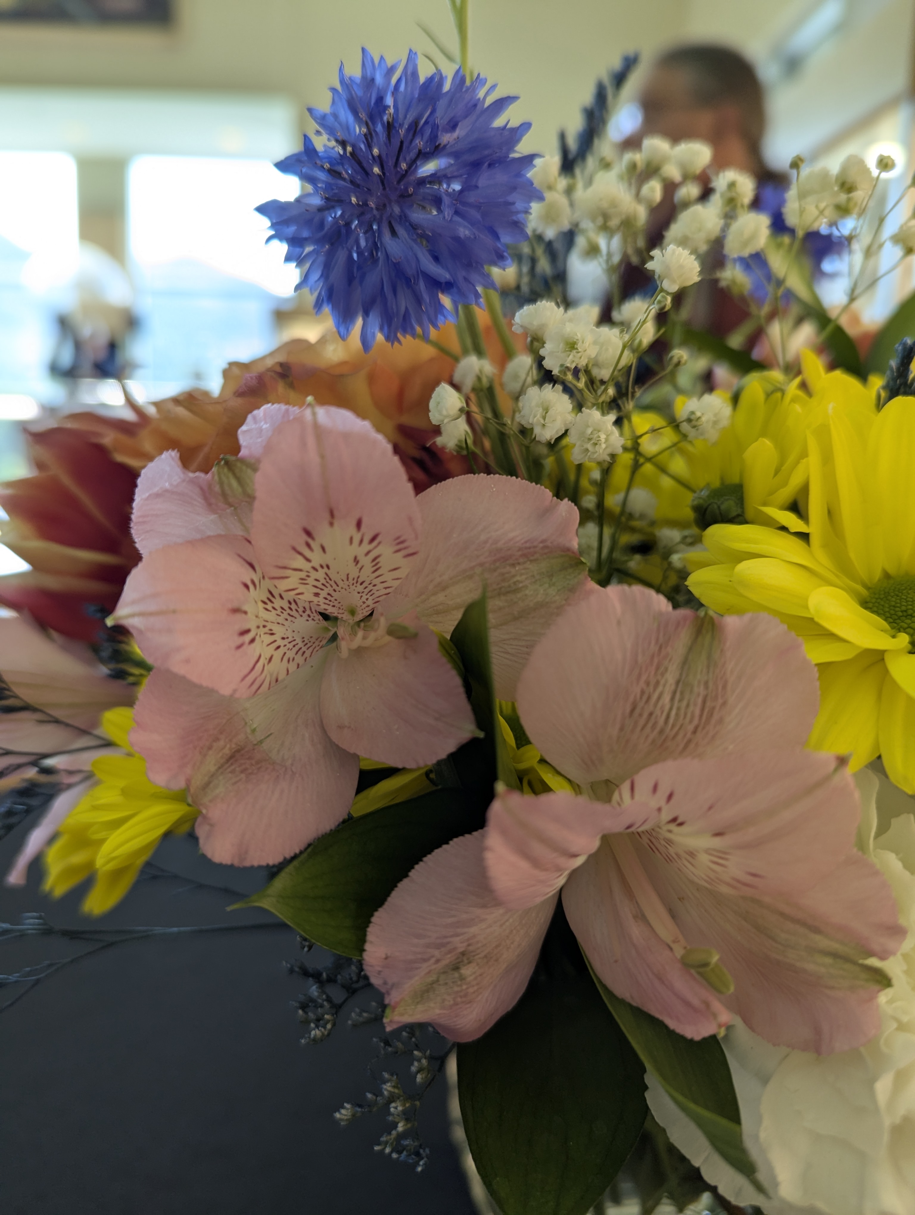 Colorado School of Mines, Geology Museum